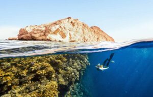 EarthShare - Quiz - June 2024 - Survive Coral Reef