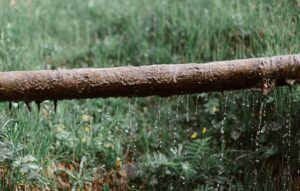 Tubería vieja y oxidada que gotea por encima del césped